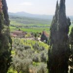 城壁からのパノラマ