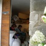 栗に切れ目を入れるおばあちゃんたち